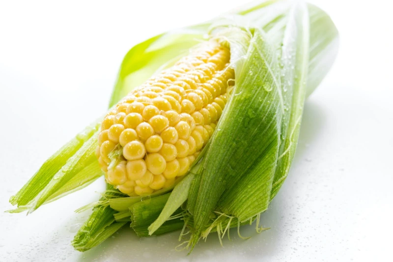 1699519454-35345Dream of Corn